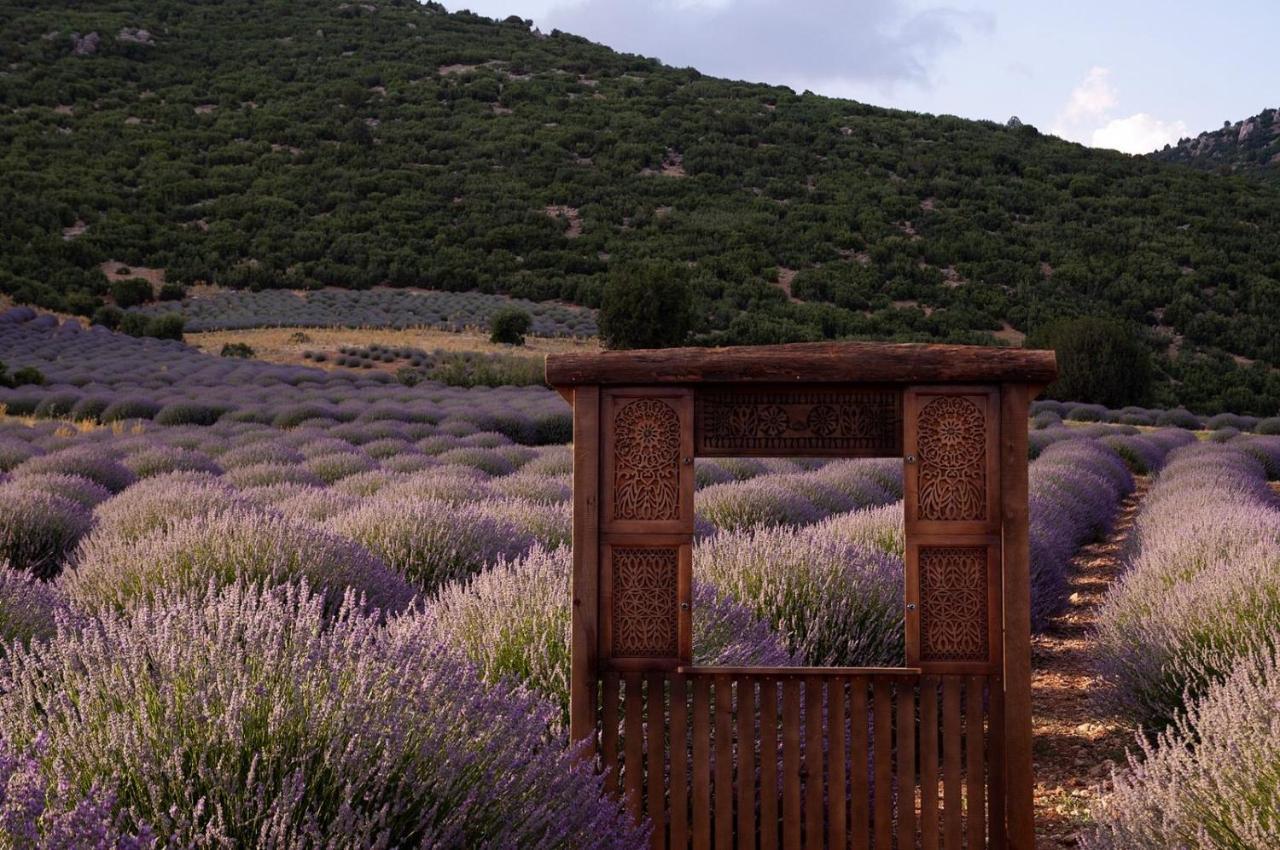 Aliya Konak - Koey Evi Ve Lezzetleri Isparta Exterior foto