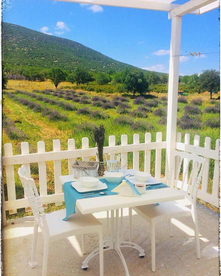 Aliya Konak - Koey Evi Ve Lezzetleri Isparta Exterior foto